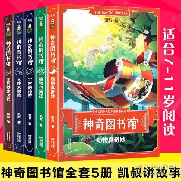 逃离荒废丛林屋